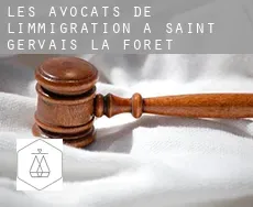 Les avocats de l'immigration à Saint-Gervais-la-Forêt
