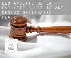 Les avocats de la faillite à  Hat Island