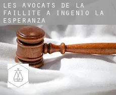 Les avocats de la faillite à  Ingenio La Esperanza