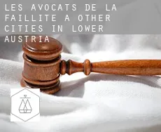 Les avocats de la faillite à Other Cities in Lower Austria