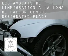 Les avocats de l'immigration à La Loma de Falcon