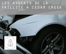 Les avocats de la faillite à  Cedar Creek