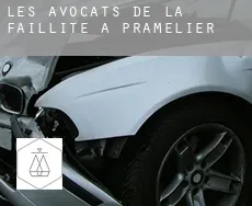 Les avocats de la faillite à  Pramélier