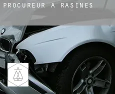 Procureur à  Rasines