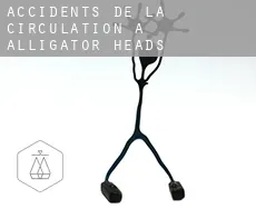 Accidents de la circulation à  Alligator Heads
