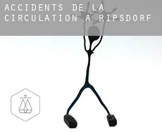 Accidents de la circulation à  Ripsdorf