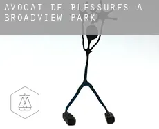 Avocat de blessures à  Broadview Park