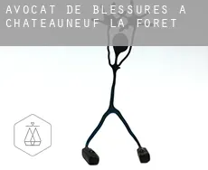Avocat de blessures à  Châteauneuf-la-Forêt