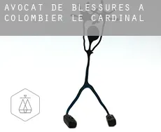 Avocat de blessures à  Colombier-le-Cardinal