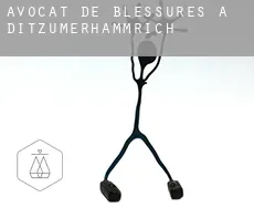 Avocat de blessures à  Ditzumerhammrich