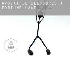 Avocat de blessures à  Fortune Lake