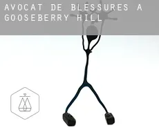 Avocat de blessures à Gooseberry Hill