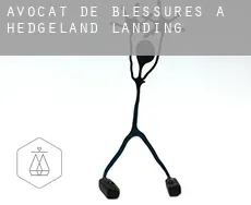 Avocat de blessures à  Hedgeland Landing