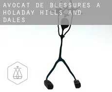 Avocat de blessures à  Holaday Hills and Dales