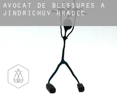 Avocat de blessures à  Jindřichův Hradec