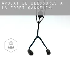 Avocat de blessures à  La Forêt Gasselin