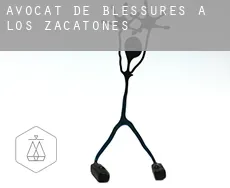 Avocat de blessures à Los Zacatones