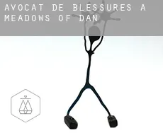 Avocat de blessures à  Meadows of Dan