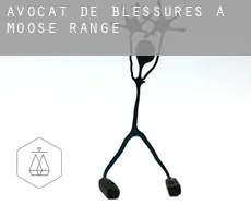 Avocat de blessures à  Moose Range