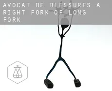 Avocat de blessures à  Right Fork of Long Fork