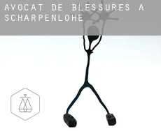 Avocat de blessures à  Scharpenlohe