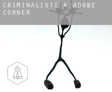 Criminaliste à  Adobe Corner