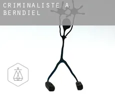 Criminaliste à  Berndiel