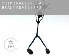 Criminaliste à  Brandonvillers