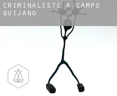 Criminaliste à  Campo Quijano