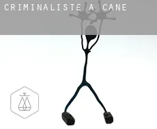 Criminaliste à  Cane