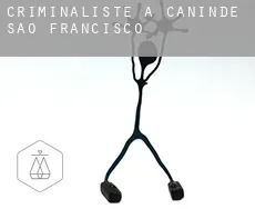 Criminaliste à Canindé de São Francisco