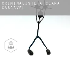 Criminaliste à  Cascavel (Ceará)