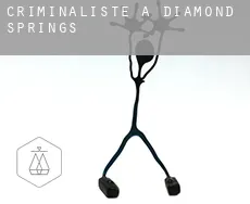 Criminaliste à  Diamond Springs