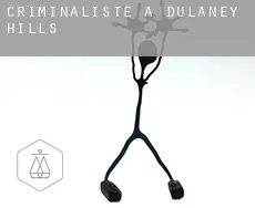 Criminaliste à  Dulaney Hills