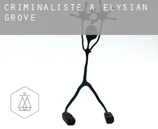 Criminaliste à Elysian Grove