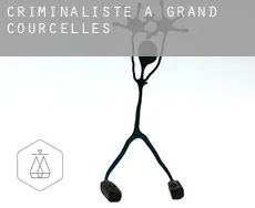 Criminaliste à  Grand Courcelles