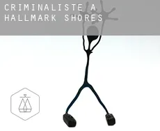 Criminaliste à  Hallmark Shores