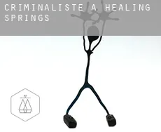 Criminaliste à  Healing Springs