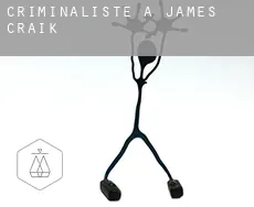 Criminaliste à James Craik