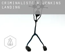 Criminaliste à Jenkins Landing