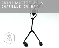 Criminaliste à  La Chapelle du Hay