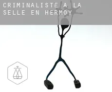 Criminaliste à  La Selle-en-Hermoy