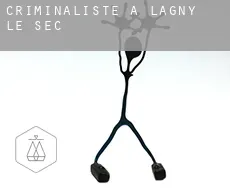 Criminaliste à  Lagny-le-Sec