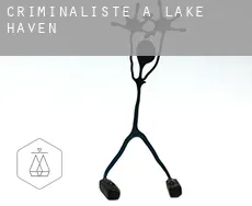 Criminaliste à  Lake Haven
