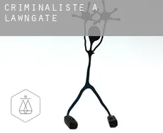 Criminaliste à  Lawngate