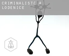 Criminaliste à Loděnice