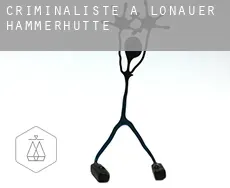 Criminaliste à  Lonauer Hammerhütte