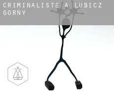 Criminaliste à  Lubicz Górny