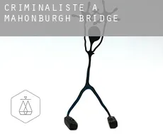 Criminaliste à Mahonburgh Bridge