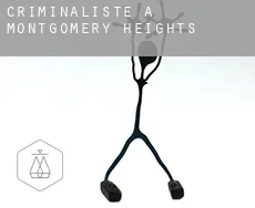 Criminaliste à Montgomery Heights